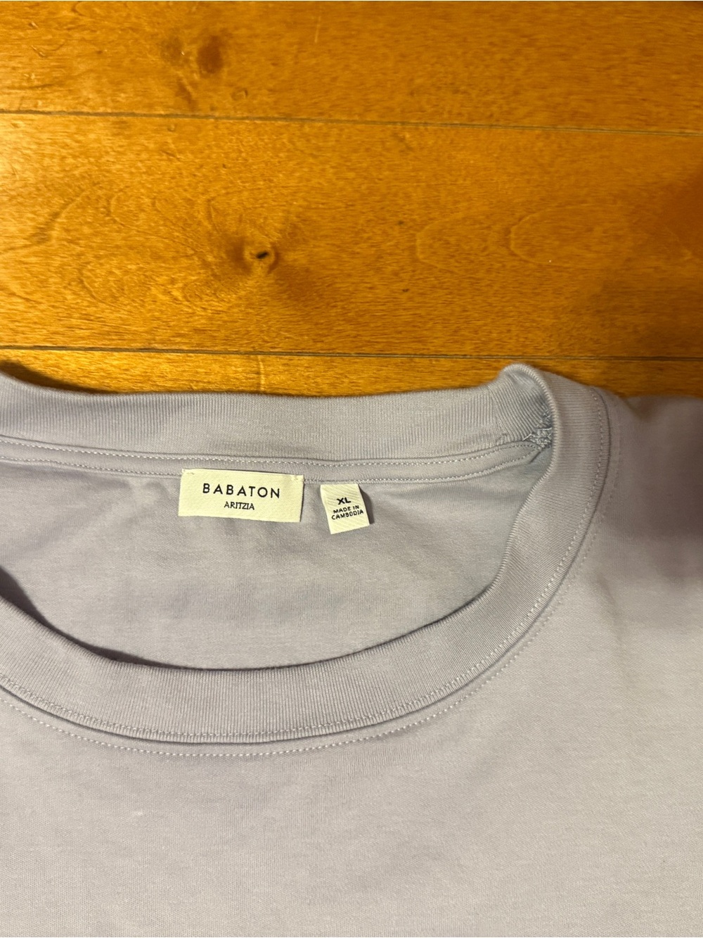 Interlock Cotton Pegasus T-Shirt - Babaton